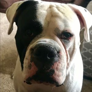 Meet your Posher, Bobbi